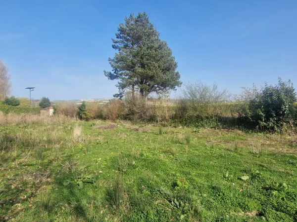 Terrain 607 m²