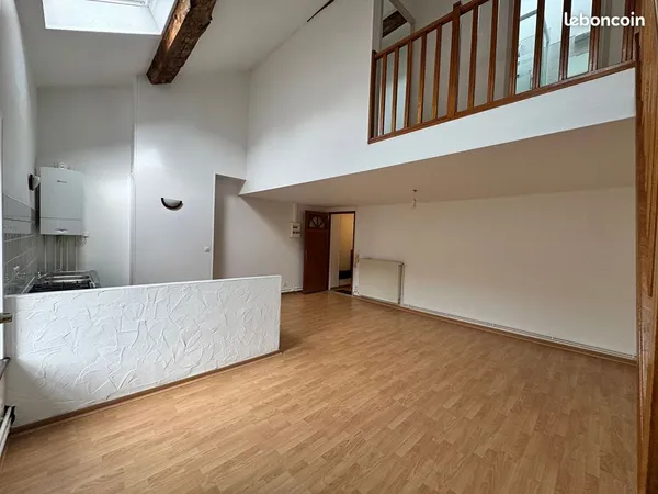 Duplex 2 pièces 49 m²