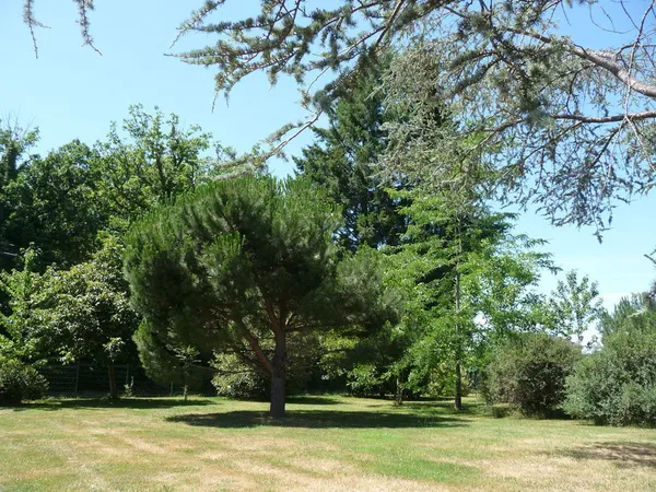 Magnifique Parc Privé Arboré de 4200 M² avec dépendances