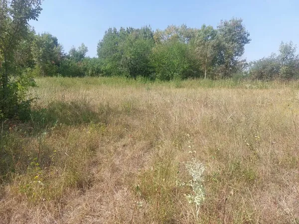 Beau terrain 940m2