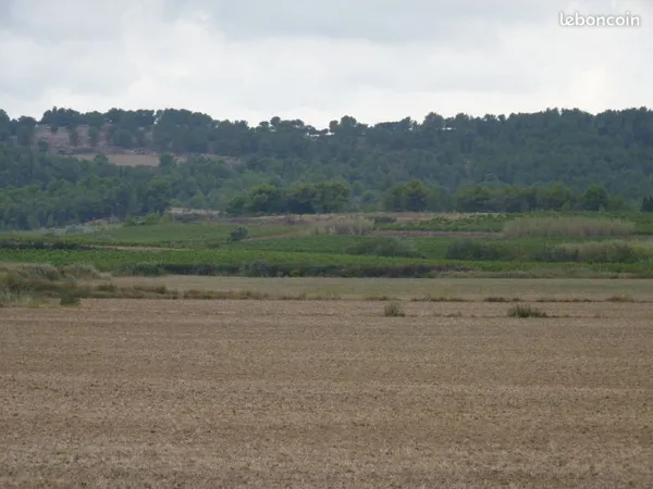 Terrain agricole