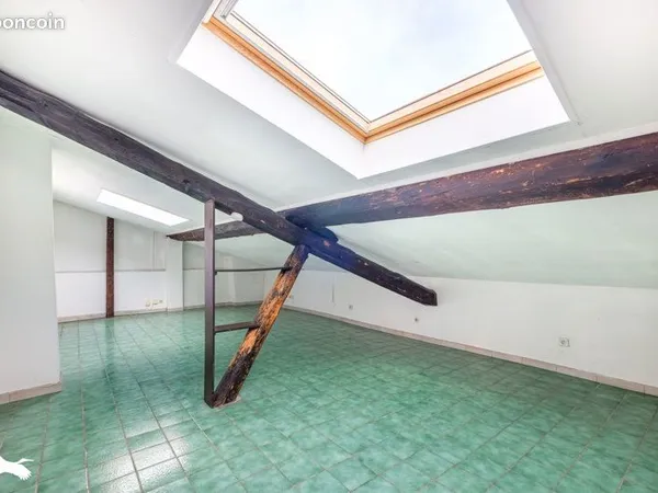 Appartement 1 pièce 20 m²