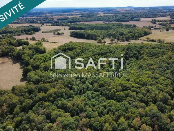 Lot de 3 parcelles dont deux forestières