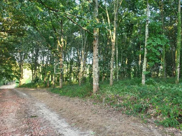 Terrain 20000 m²
