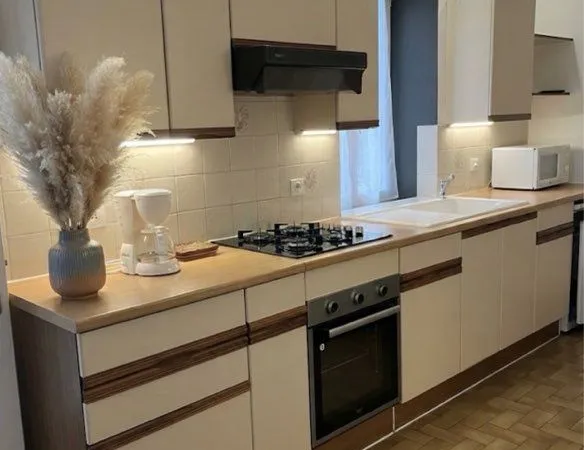 T2 MEUBLÉ 40 m² - 450 - LOCATION À L'ANNÉE - LAC D'ISSARLÈS