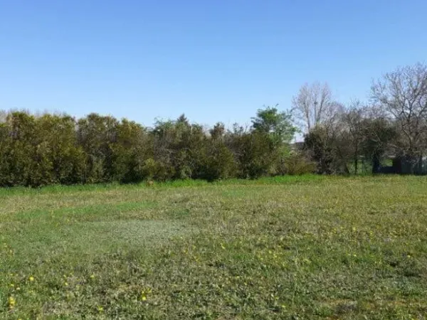 Terrain 1300 m²