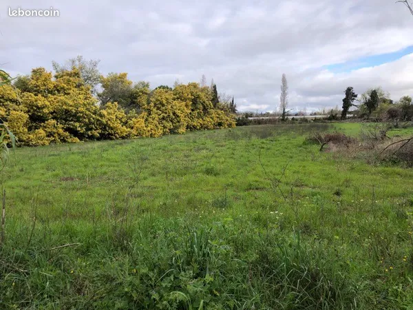 Terrain agricole forage