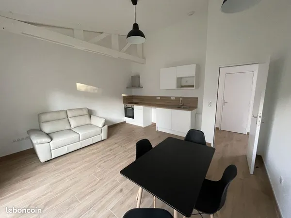 Appartement meublé avec jardin privatif - Amiens centre-ville - caractère historique, volumes atypiq
