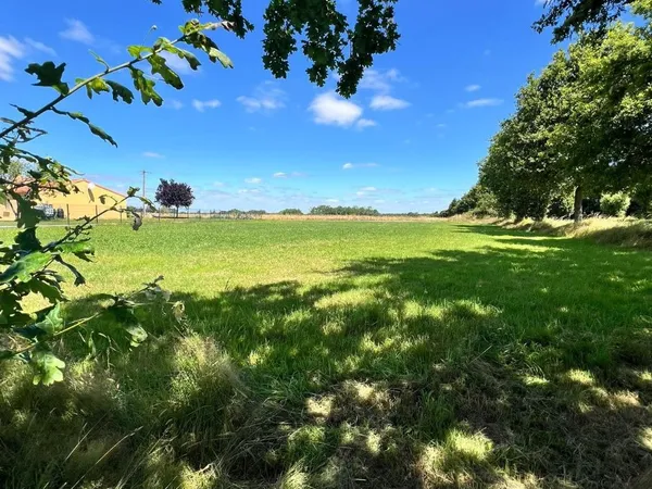 Terrain 437 m²