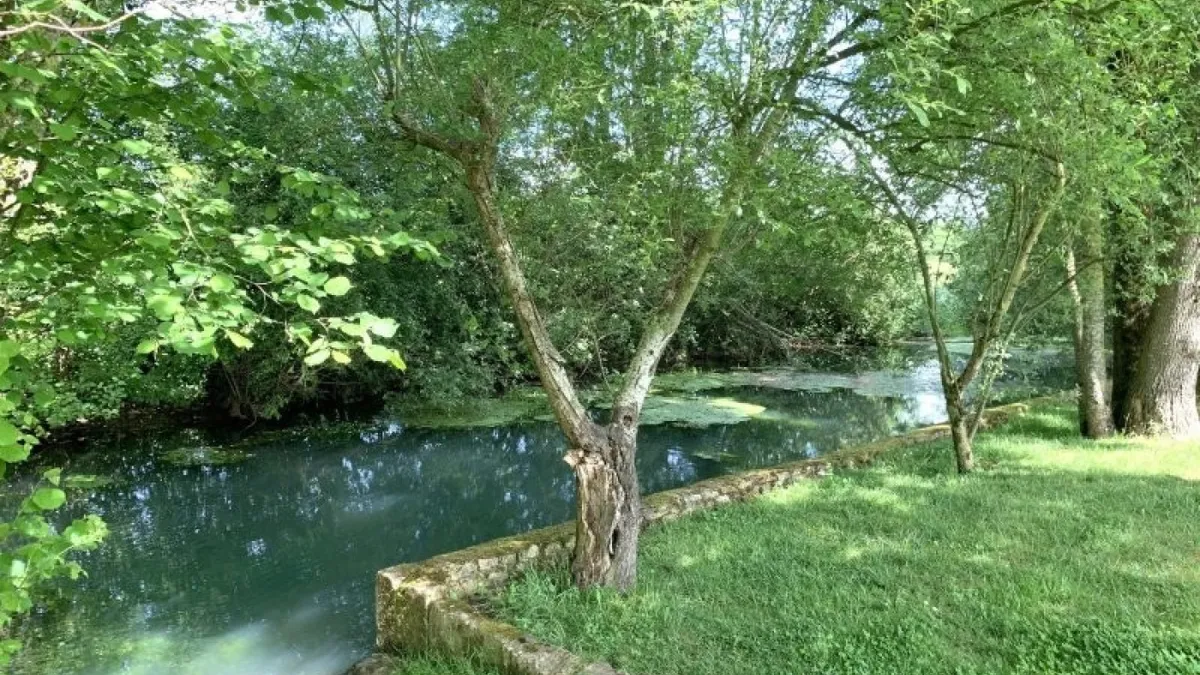 Photo 42
