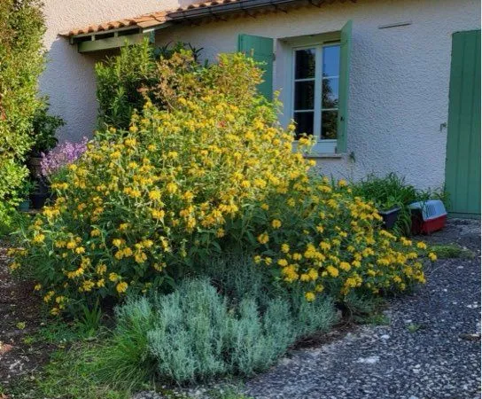 Vente maison avec jardin à l anglaise et piscine