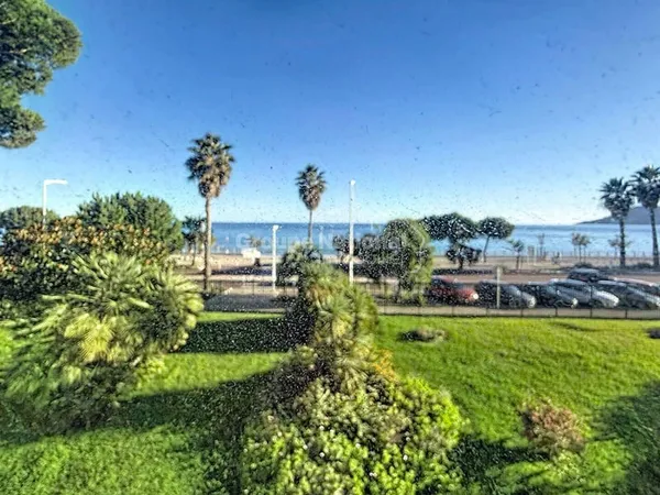 Appartement 1 pièce 24 m²