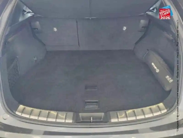 Lexus Nx 450h+ f sport executive 4wd my24 — photo 14