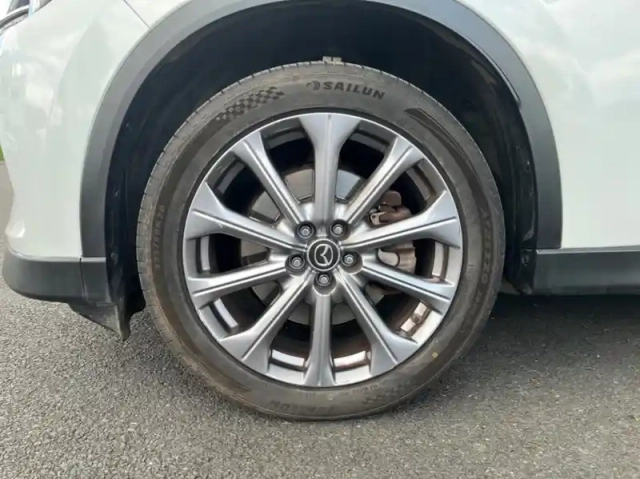 Mazda Cx-60 2.5 e-skyactiv phev 327ch exclusive-line 4x4 bva8 — photo 14