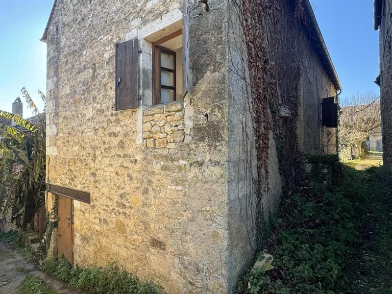 Photo 3