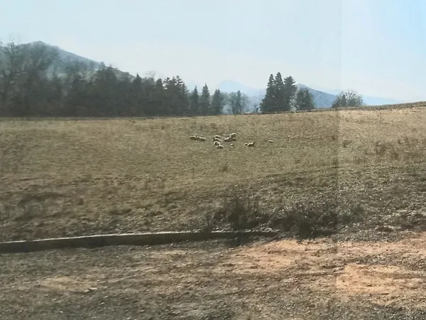 Terrain à bâtir
