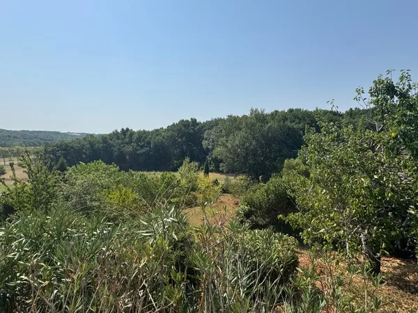 Terrain en individuel 1776 m²