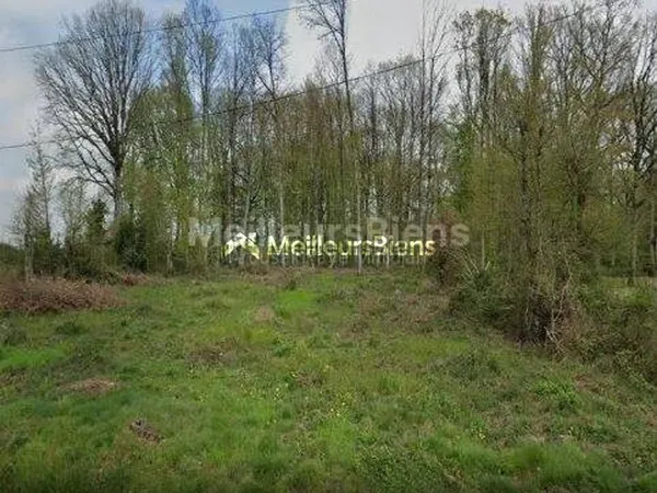 COURTENAY (45320) - DOMAINE STE ANNE - TERRAIN 2376 M² - VIABILISE ET CONSTRUCTIBLE - SEMI-BOISE -