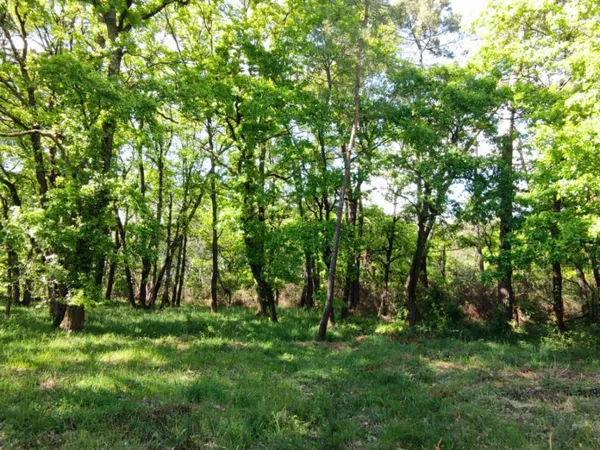 Terrain en individuel 840 m²