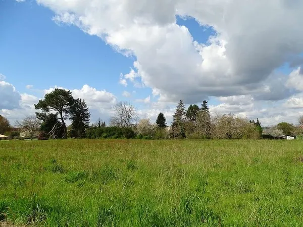 Terrain 4779 m²