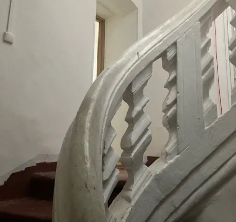 Type 3 renové