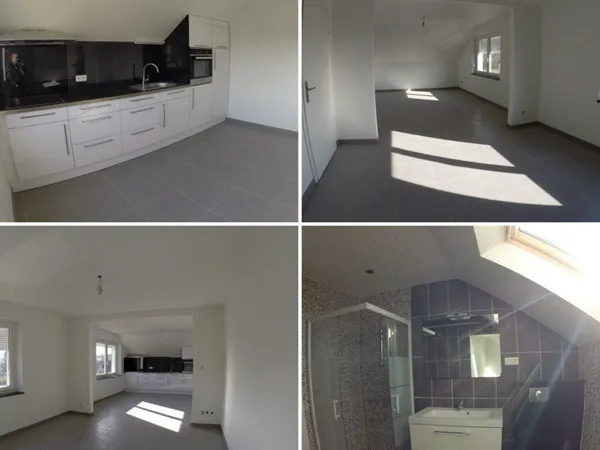 Location F3 rénovée à Roth