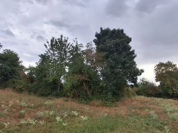 Terrain de culture ou loisirs