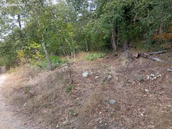 Terrain fuilla 66820
