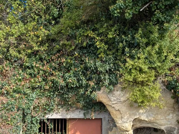 Cave festive