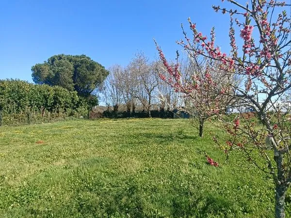 Terrain constructible