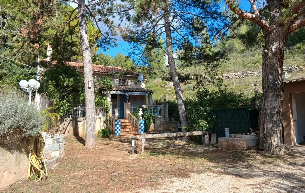 Photo 1