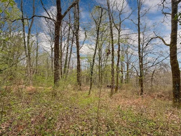 Terrain 2127 m²
