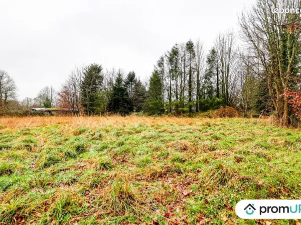 Terrain 1 468 m² Peyrilhac
