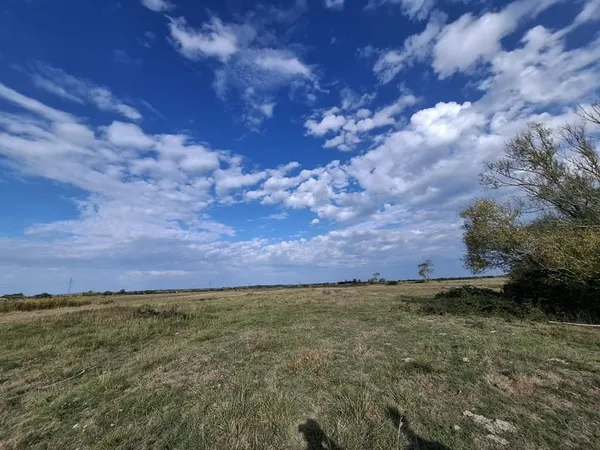 Domaine de 4,7 hectares à Notre-Dame-de-Monts