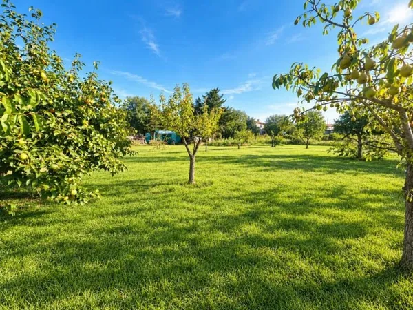 Terrain 544 m²
