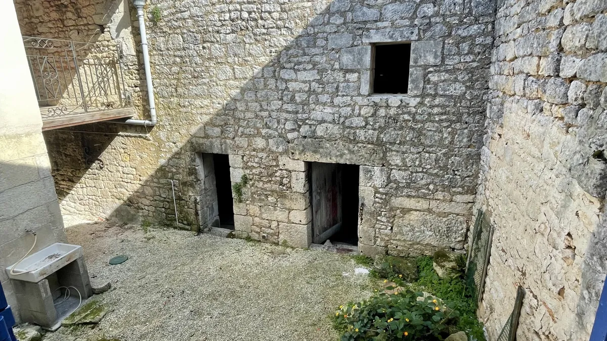 Photo 5
