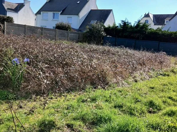 Terrain constructible