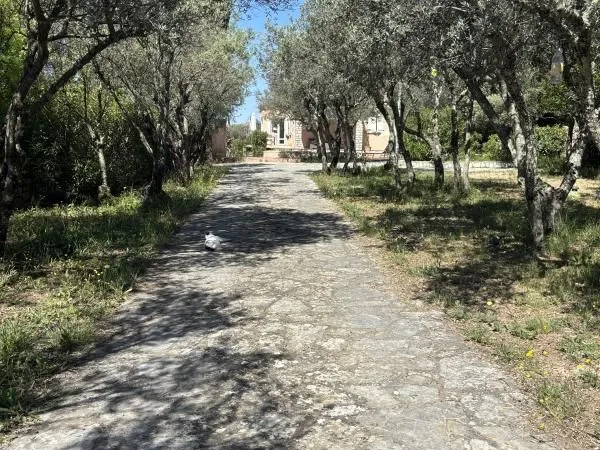 Villa 5 pièces 130 m²