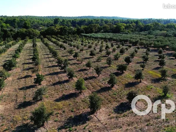 Terrain agricole 32 000 m² Fontvieille