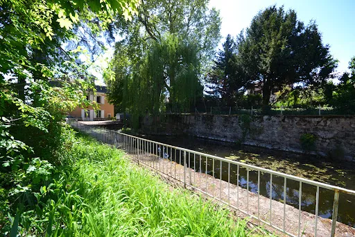 Photo 19