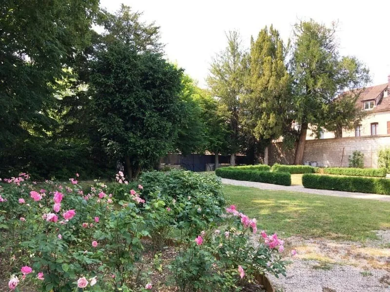 Photo 36