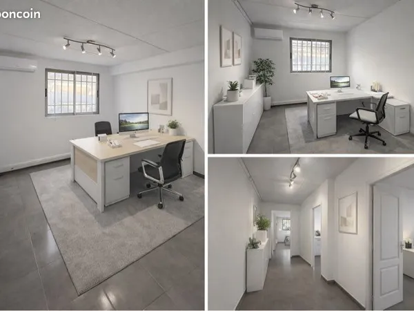 Bureaux / locaux professionnels
