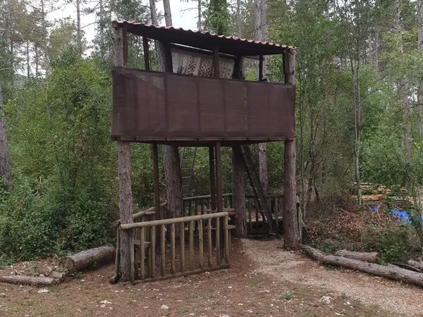 Vends terrain de loisir boisé