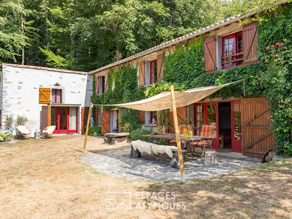 Corps de ferme de caractère avec piscine et 2,2 hectares - Montagne noire