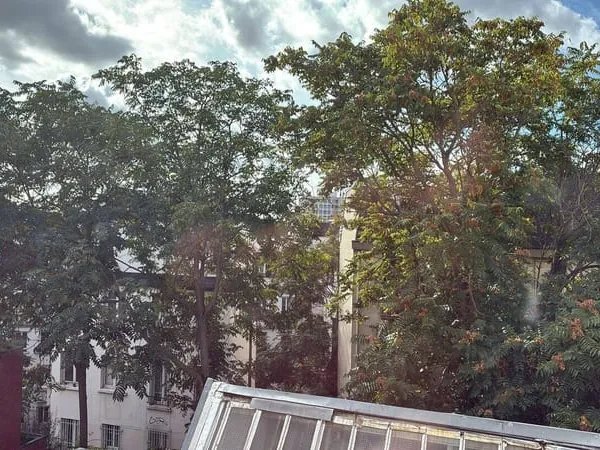 Appartement 1 pièce 19 m²