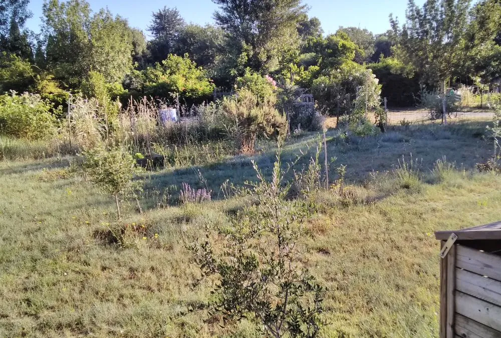 Photo 5
