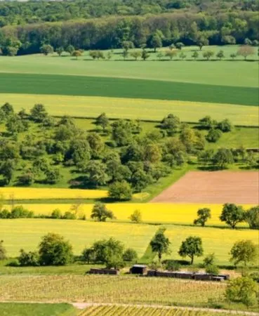 Terre agricole libre