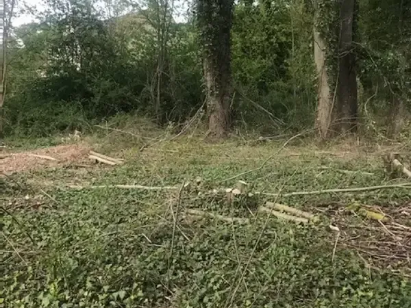 Terrain 870 m²