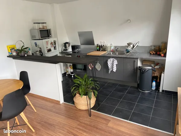 T3 meuble + garage