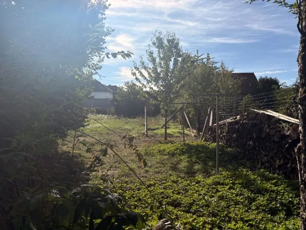 Terrain 1180 m²
